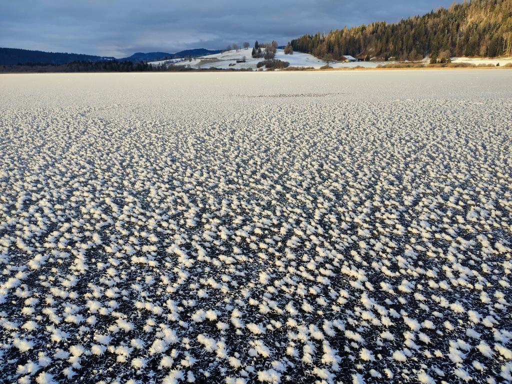 Img 20260106 090348 1024x768