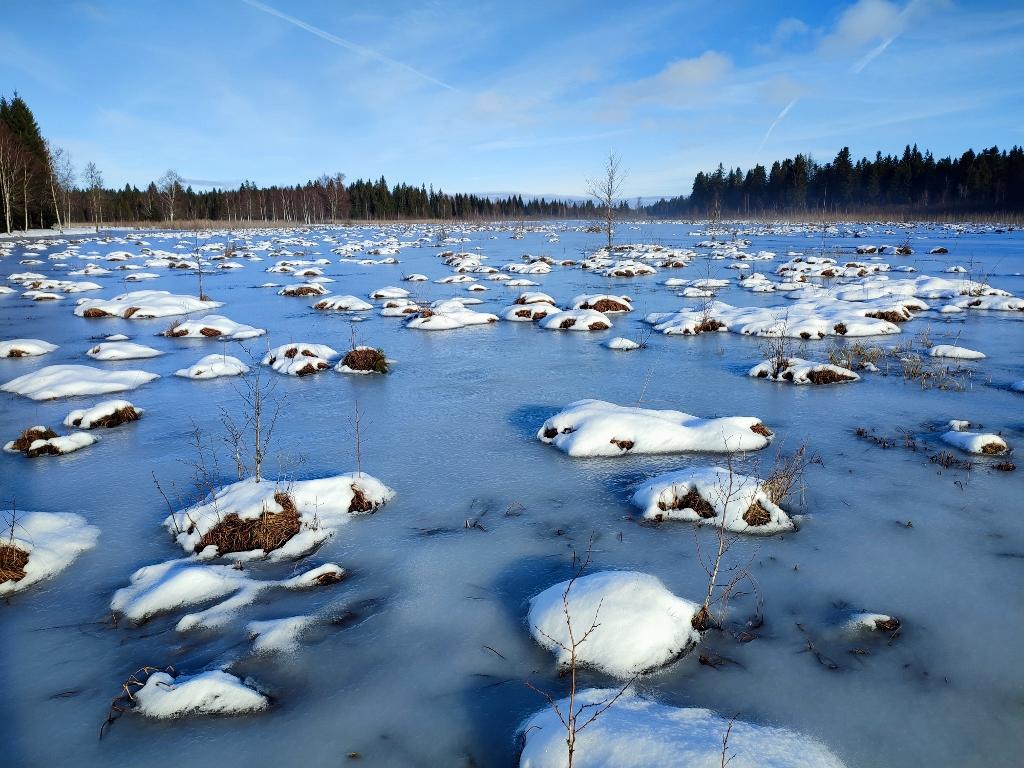 Img 20260201 094858 1024x768